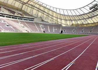 Detenidos dos atletas en León en una operación contra el dopaje