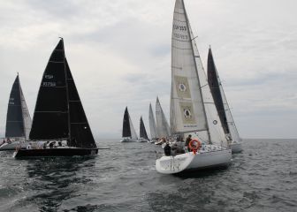 La Ballena de Oro se decide en San Sebastián