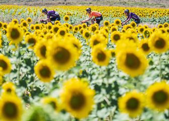 La 'Foto Finish' del mes de agosto