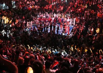 Probellum toma forma