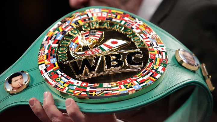El WBC estrena el Bridgerweight
