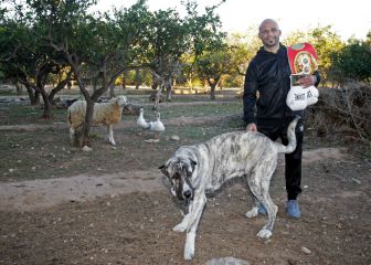 El último año del campeón