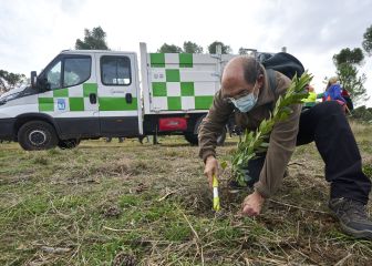 El Acciona Open de España logra un 'impacto positivo' con la plantación de 4.000 árboles