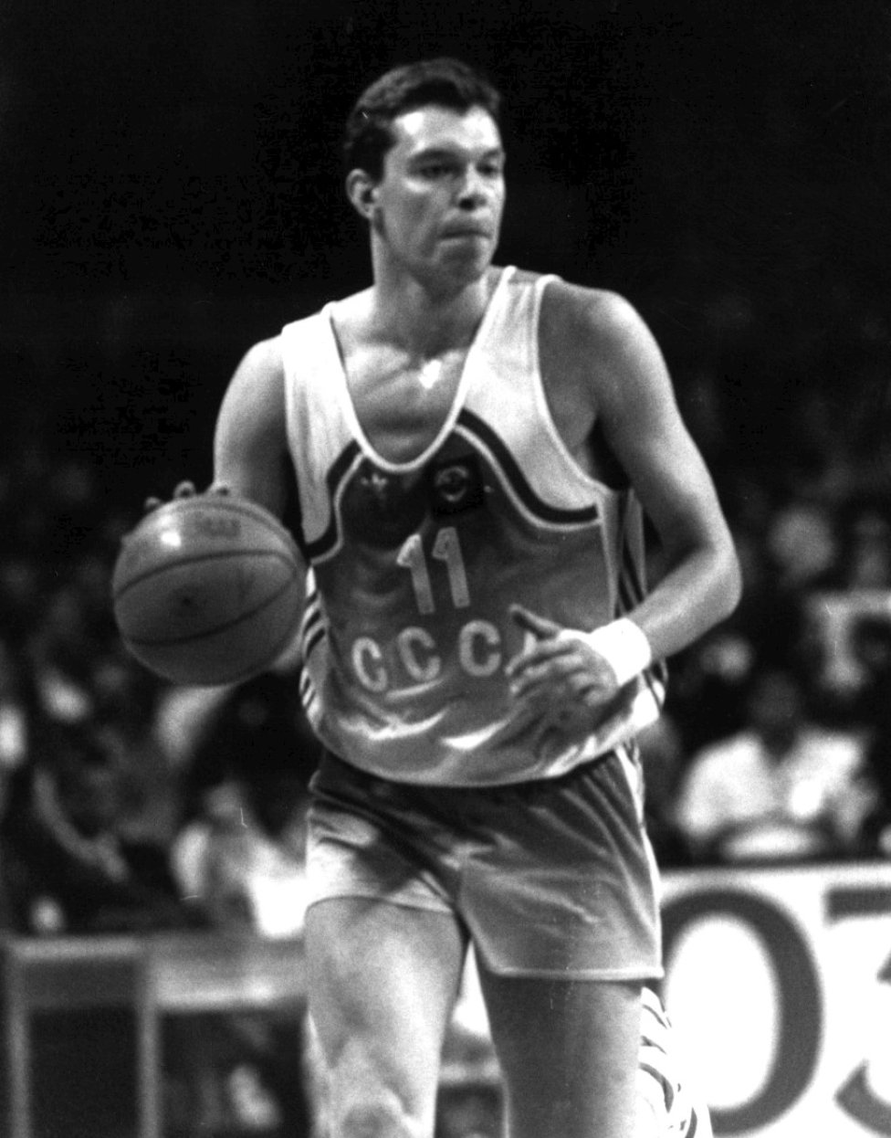 Александр Волков баскетболист