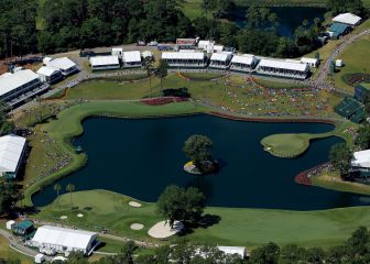 ‘The Players’: a la caza del León