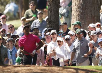 Tiger ruge, Rahm sufre