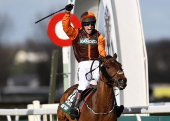 Waley-Cohen, jockey aficionado que se retira, gana el National