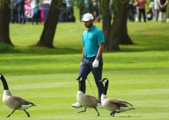 Tres peculiares espectadores en el Masters Británico