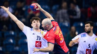 Final Dinamarca-Francia