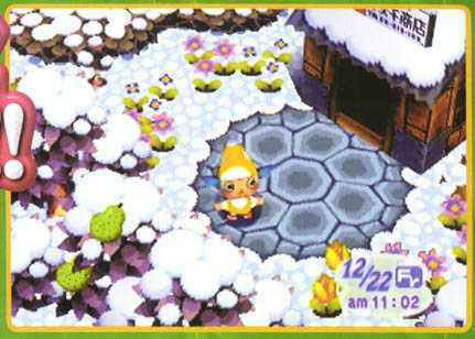 Animal Forest (Nintendo 64) - MeriStation