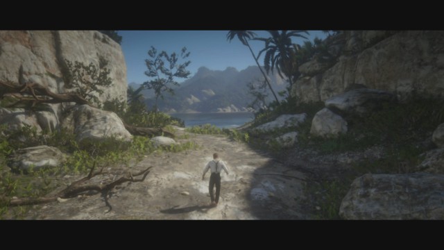 red dead redemption 2 island guarma