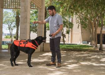 Este chaleco ayudará a entrenar perros para labores de rescate