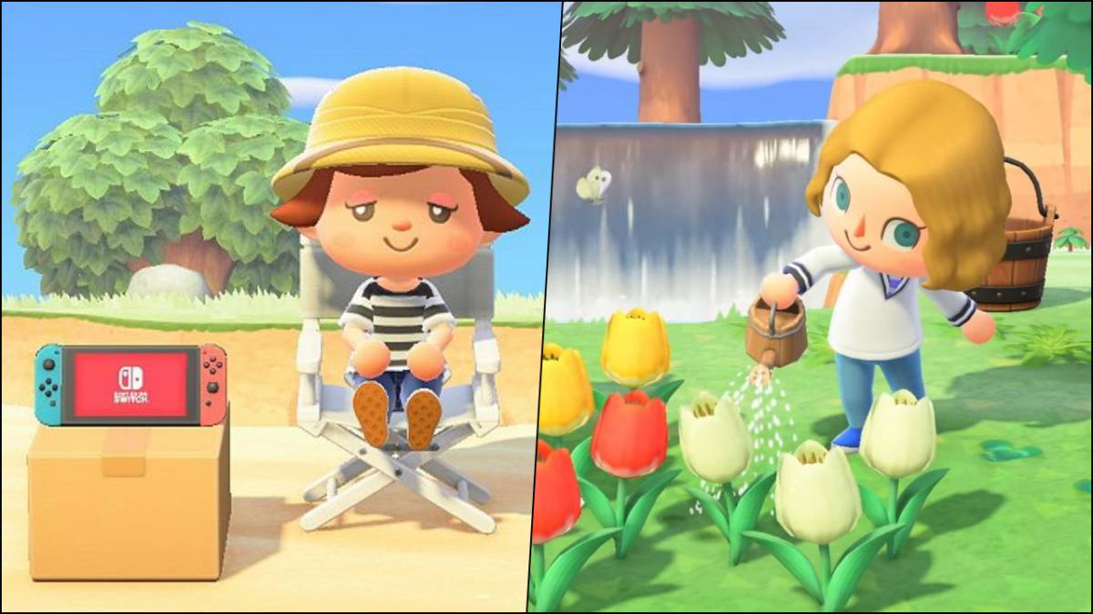 Animal Crossing: New Horizons se actualiza a la versión : regalos,  eventos y más - MeriStation