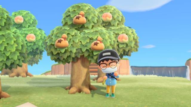 Cómo plantar árboles de bayas (dinero) en Animal Crossing: New Horizons -  MeriStation