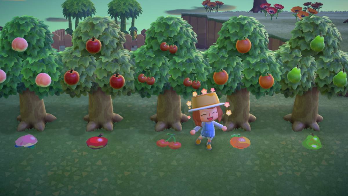 Todas las frutas, precios y dónde conseguirlas en Animal Crossing: New  Horizons - MeriStation