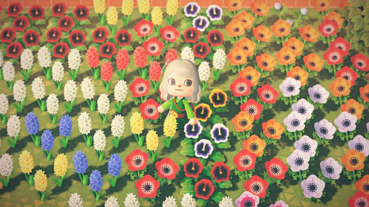 Cómo crear flores híbridas en Animal Crossing New Horizons - MeriStation