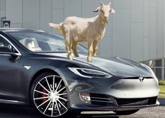 Claxons de cabras y pedos y detector de baches para los coches Tesla