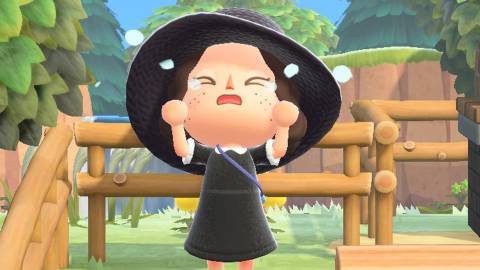 Animal Crossing: New Horizons, objetos hackeados