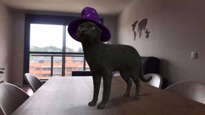 Fantasmas y gatos brujos en 3D en tu casa gracias a Google por Halloween -  