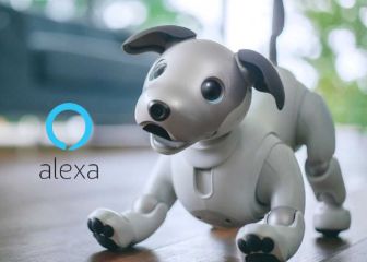 Cómo hacer que un Amazon Echo ladre como un perro: Alexa Guard