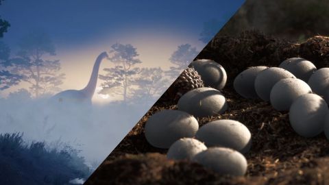 Instinction tráiler dino crisis sucesor ps5 xbox series