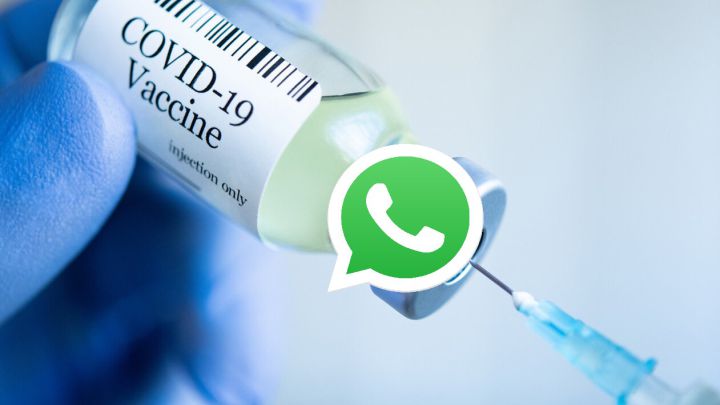 WhatsApp: cómo instalar el pack de stickers Vacunas Covid-19