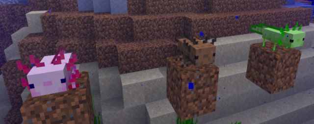 Minecraft 1.17 actualización parche novedades contenido cobre cabras ajolotes amatistas