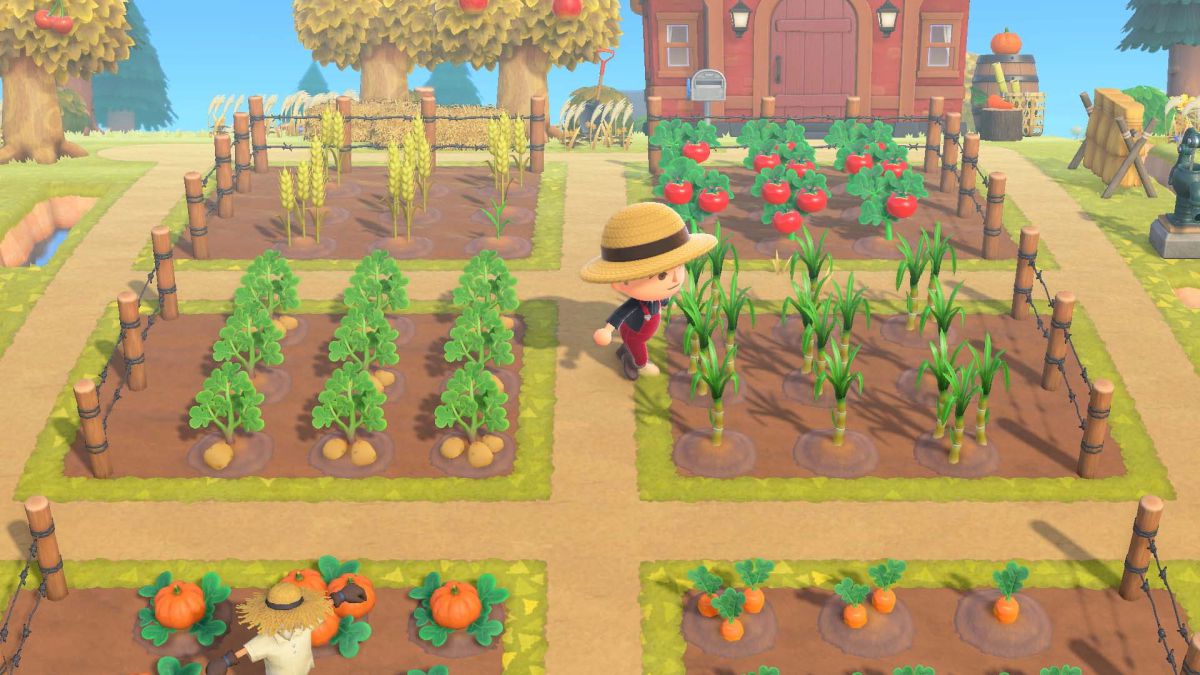Cómo conseguir trigo para cultivar y cocinar en Animal Crossing New  Horizons - MeriStation