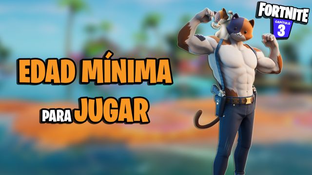fortnite cual es la edad minima para jugar