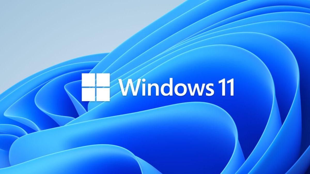 Windows 11 estrena nuevas características para el cambio de fondos de  pantalla 