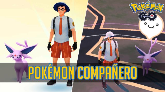 pokemon go pokemon companions upload friendship how to do it