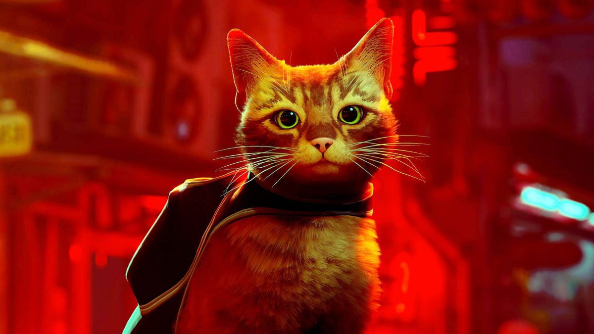 Stray Becomes Steam s Highest rated Game By Users In 2022 Meristation USA