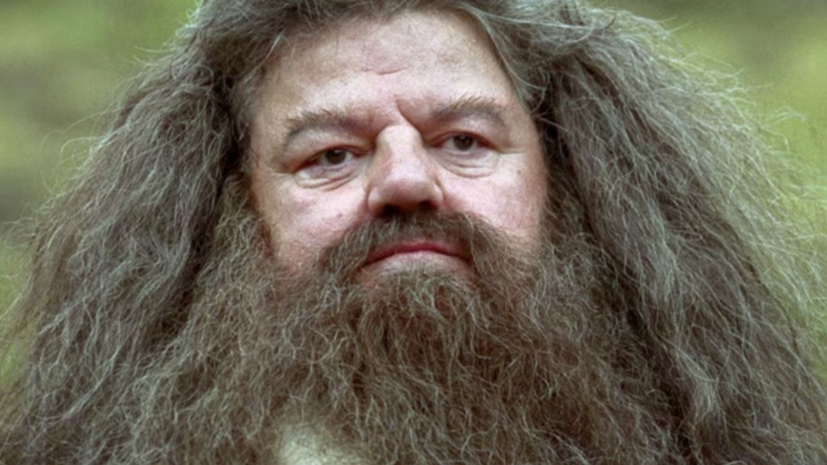 Hogwarts Legacy hides to the Hagrid actor who died last year - Meristation USA