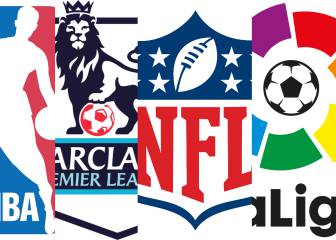 Top 20 sports leagues in the world by revenue