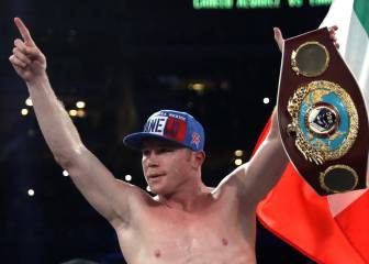 Canelo fuera hasta el 2017 por fractura en pulgar derecho