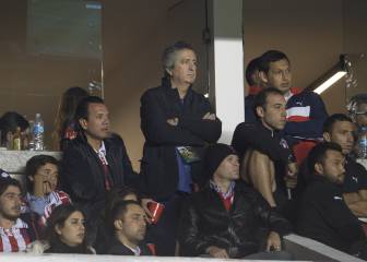 Vergara, tras la derrota: 