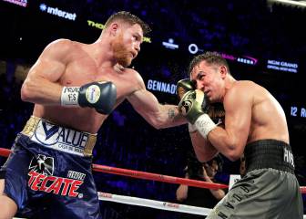Sancionan a jueza que vio ganar a Canelo sobre Golovkin
