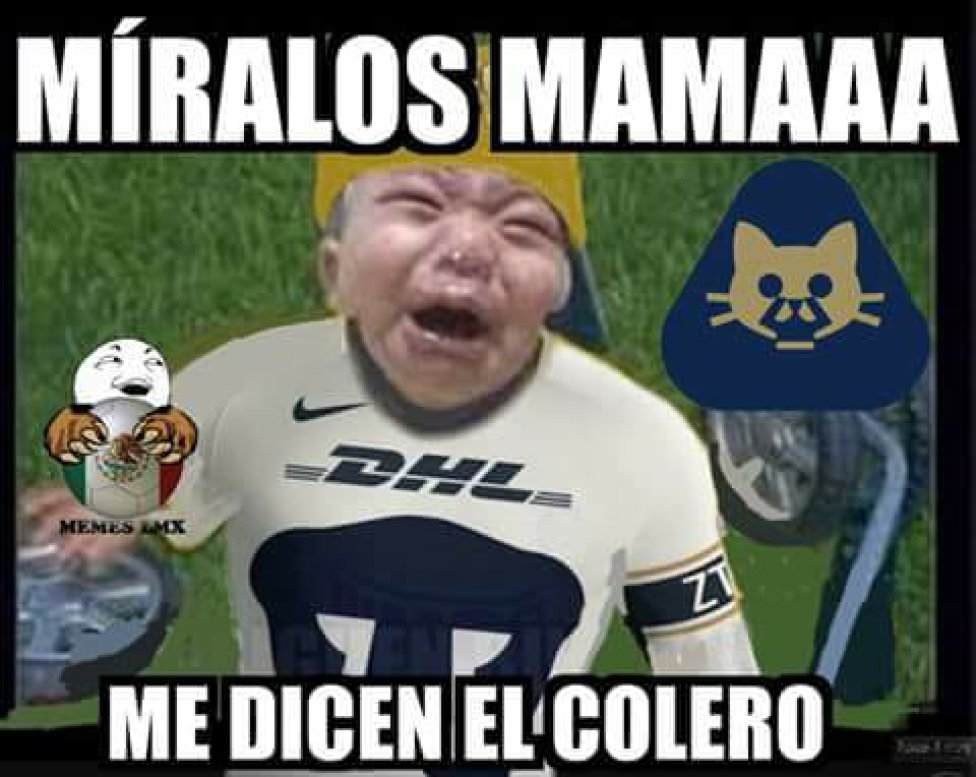 Los memes se burlan del último lugar de Pumas - AS México