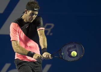 Del Potro volverá a México para jugar el torneo de Los Cabos