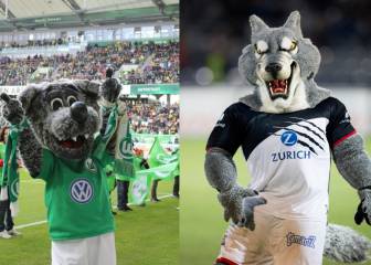 Apuesta entre lobos mexicanos y alemanes