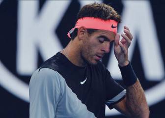Juan Martín del Potro es baja para el Abierto Mexicano
