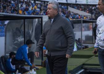 Vucetich renueva con Gallos y termina con rumores celestes