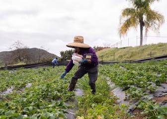 Instituciones financieras anuncian apoyos ante coronavirus