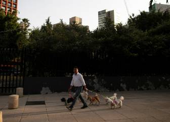 Coronavirus México: ¿Qué significa aplanar la curva?