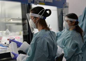 Falta tiempo para saber si la Ivermectina es efectiva contra el Covid-19