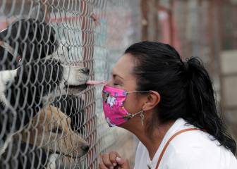 Fase 4 del coronavirus: qué es, qué significa y cuándo podría llegar