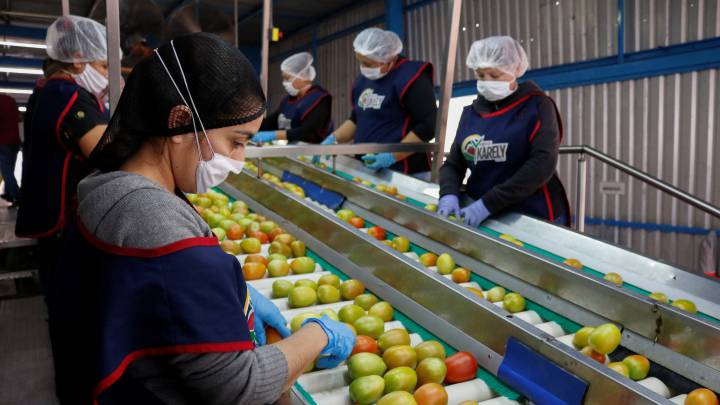 Coronavirus en México en vivo: noticias, casos y muertes hoy 29 de abril