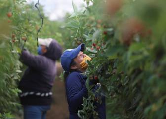 ¿Qué pasará con la industria cervecera en los próximos meses?