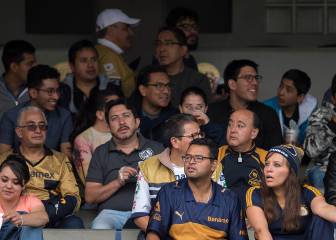 Liga MX y LMB pierden 115 mdp sin venta de cerveza