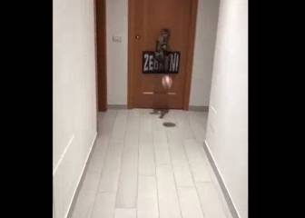 ¿Casillas? ¿Buffon? No, este gato es el mejor atajador de penales